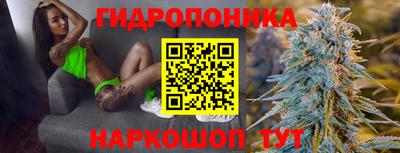 винт Пенза